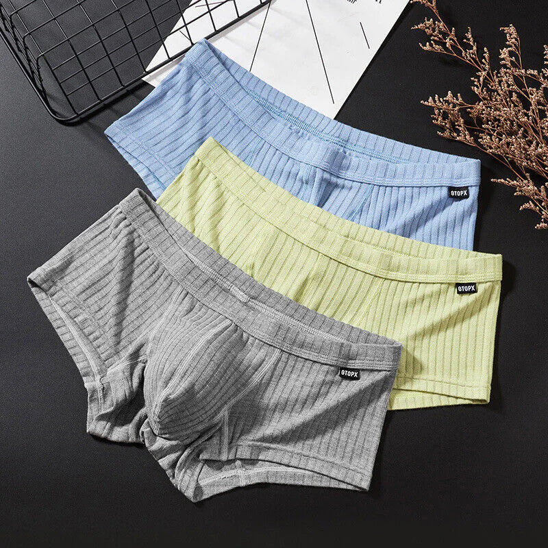 Men's Sexy Underwear Low waist Briefs U Pouch Boxers Striped Shorts Underpants